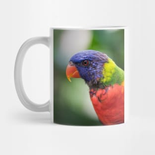 Parrot Mug